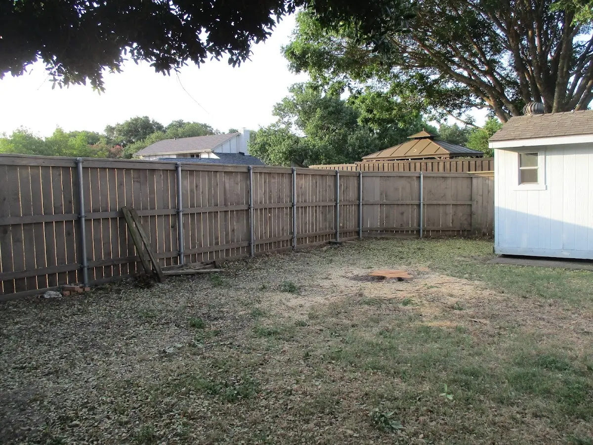 Cleared yard after professional tree removal in Cross Fork